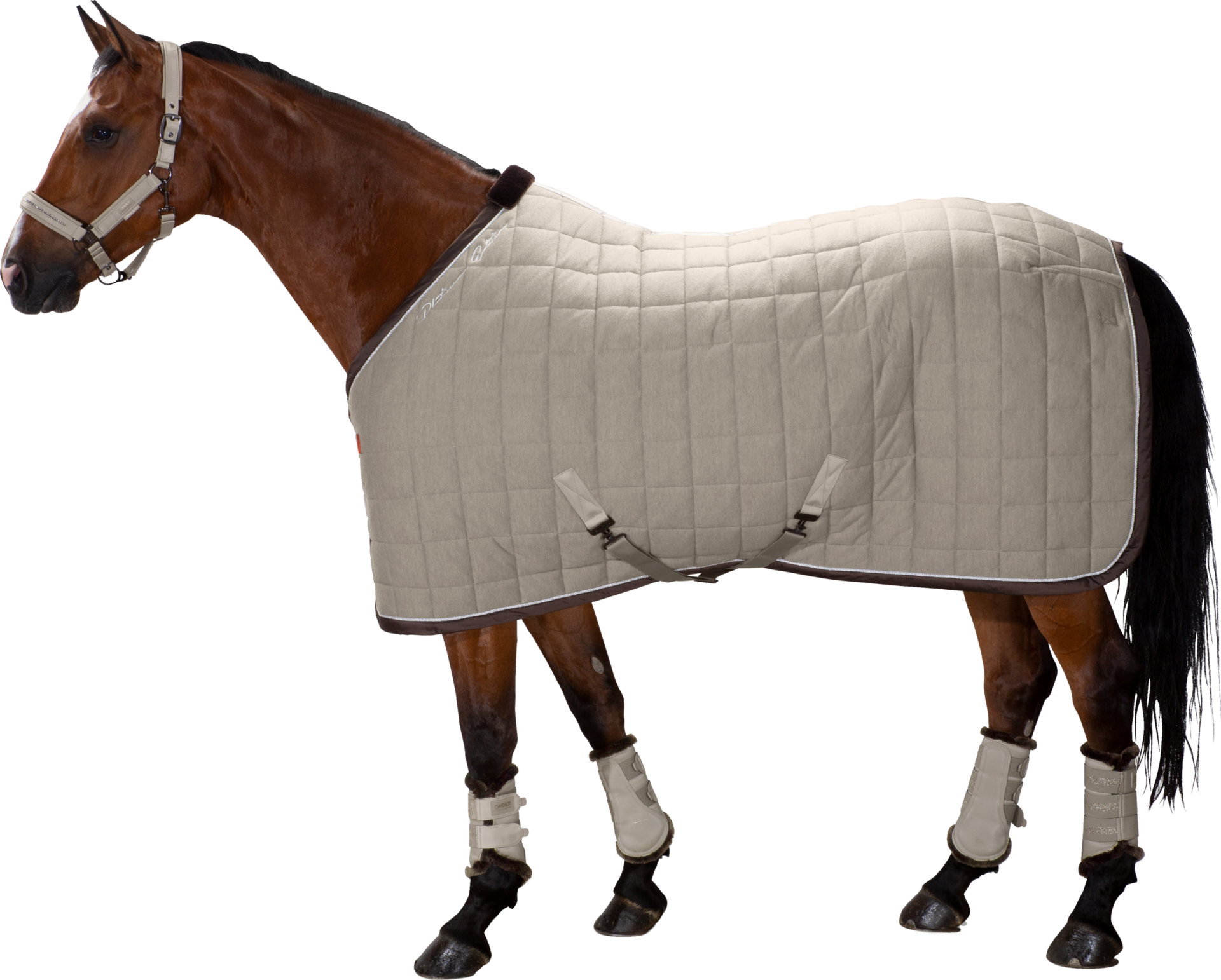 Horse Rugs